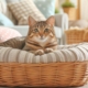 Eine getigerte Katze liegt in einem Katzenkörbchen mit gepolstertem Rand.